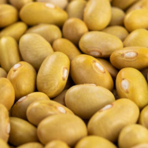 Yellow Beans